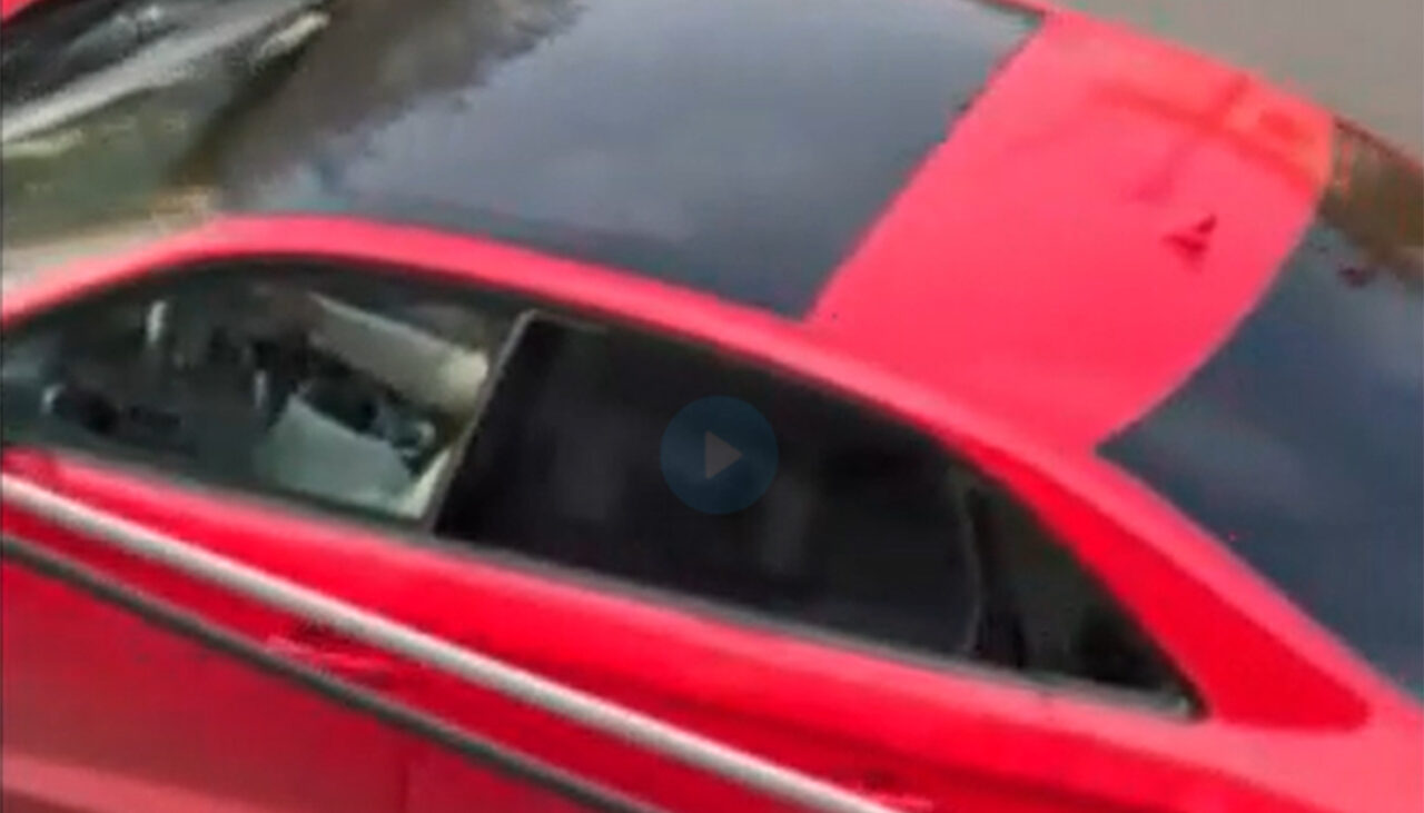 VIDEO | Rușine mai mare nu există! Ce făcea la stop acest șofer din Cluj-Napoca, în mașină, ziua în amiaza mare