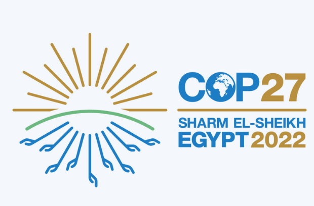 COP 27 | Progres timid și poticnit, umbrit de situația geopolitică la nivel global