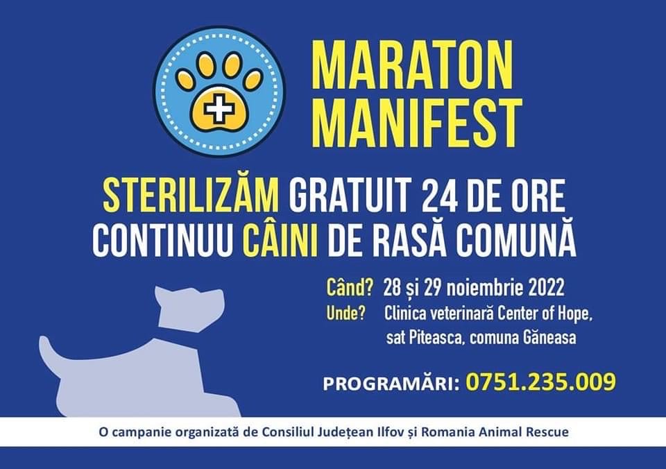 Consiliul Județean Ilfov desfășoară o campanie de sterilizare gratuită a animalelor de companie