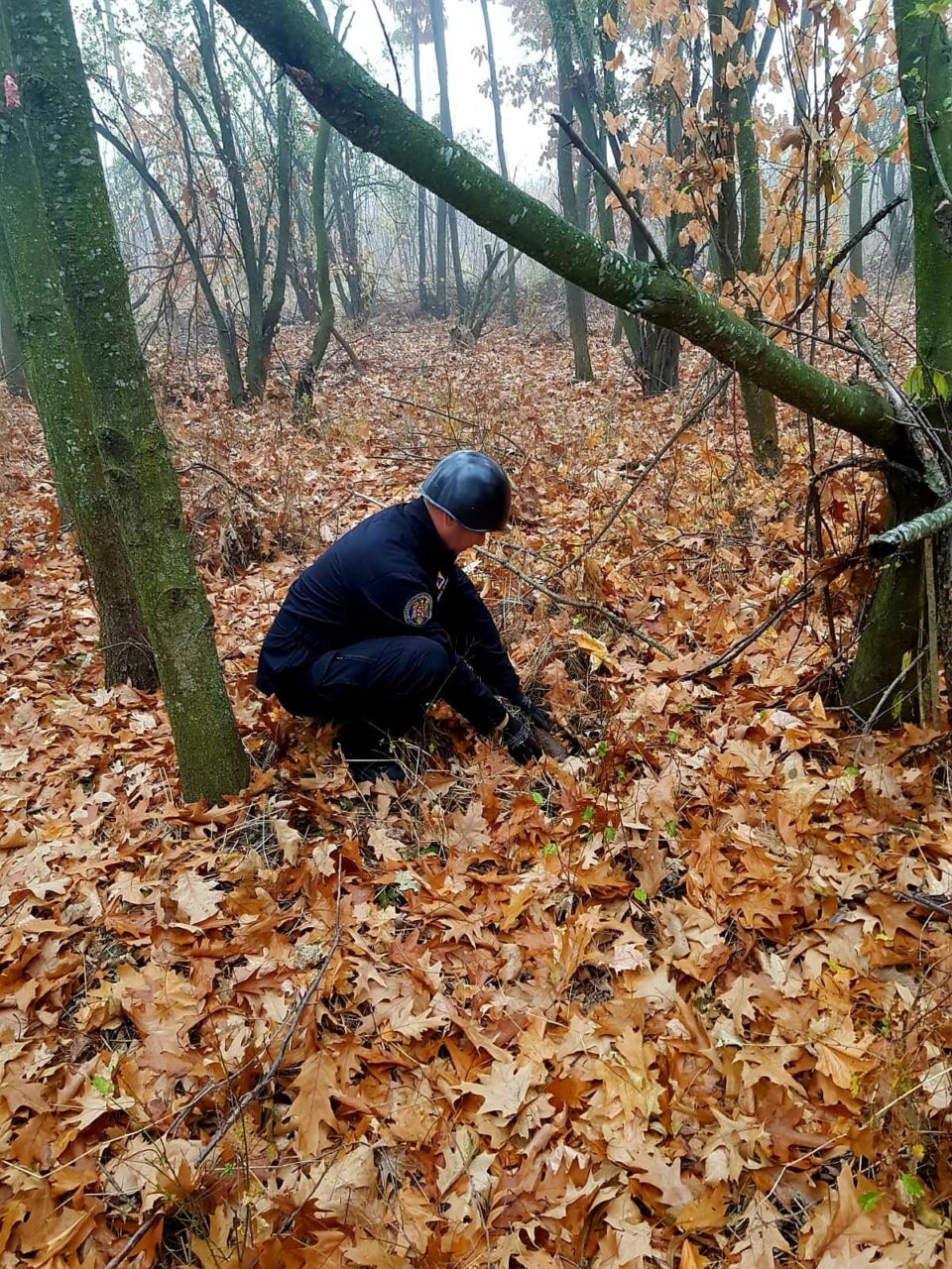 Descoperire șocantă făcută de un bărbat din Bolintin Vale care săpa o groapă în grădină. A sunat SPERIAT la 112