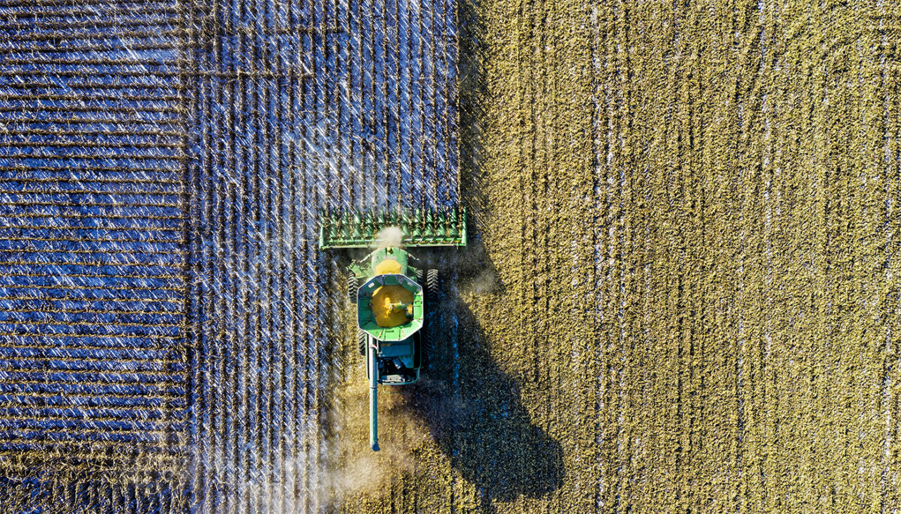 Fructul cu care agricultorii din România au dat lovitura! Câștigă 20.000 de euro pentru fiecare hector cultivat