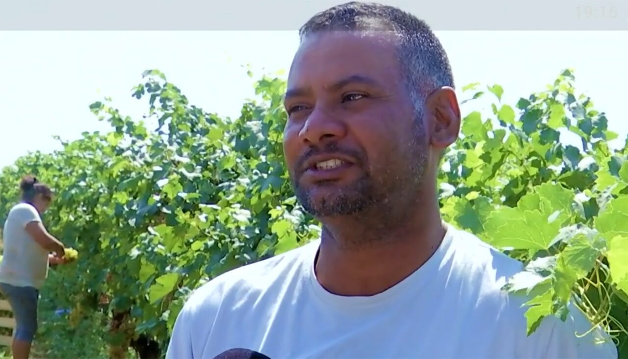 Ce salariu primește Harjit, un indian venit în România la cules de struguri. Câți lei câștigă pe lună, de fapt