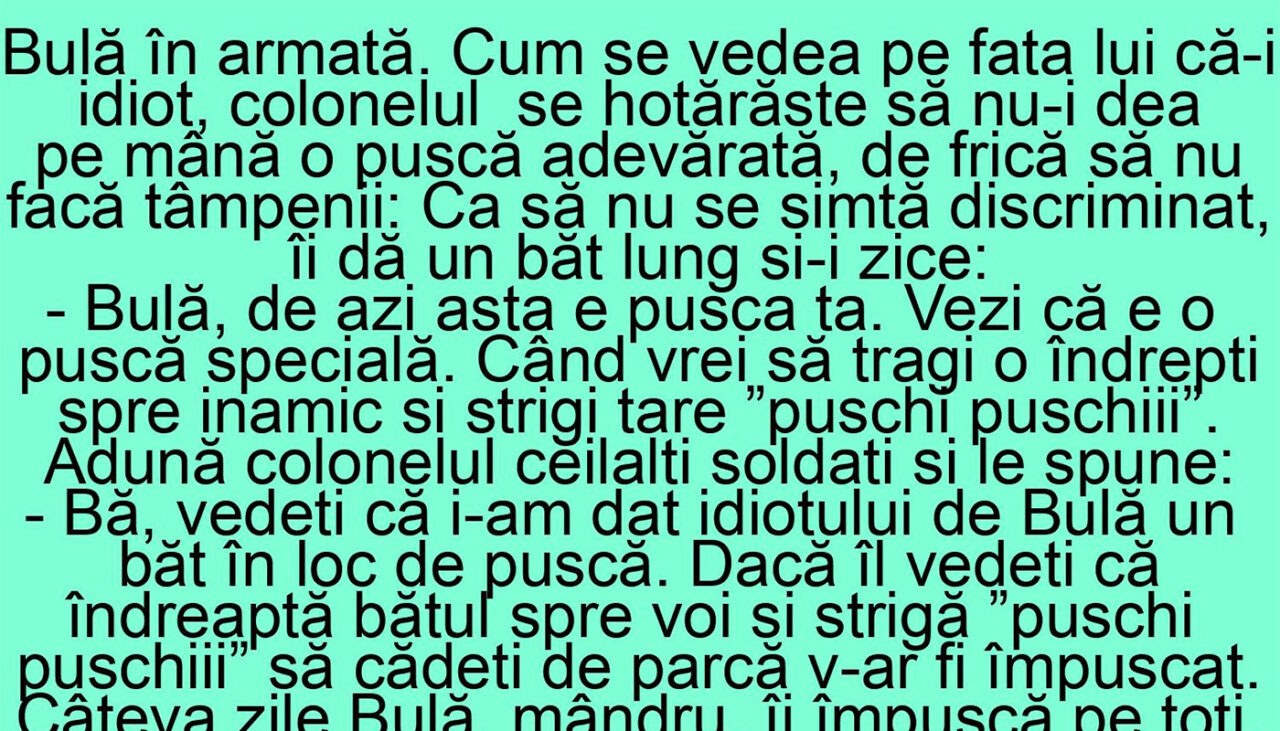 BANC | Bulă este în armată. Neavând încredere în el, colonelul îi dă un băț, nu o pușcă adevărată