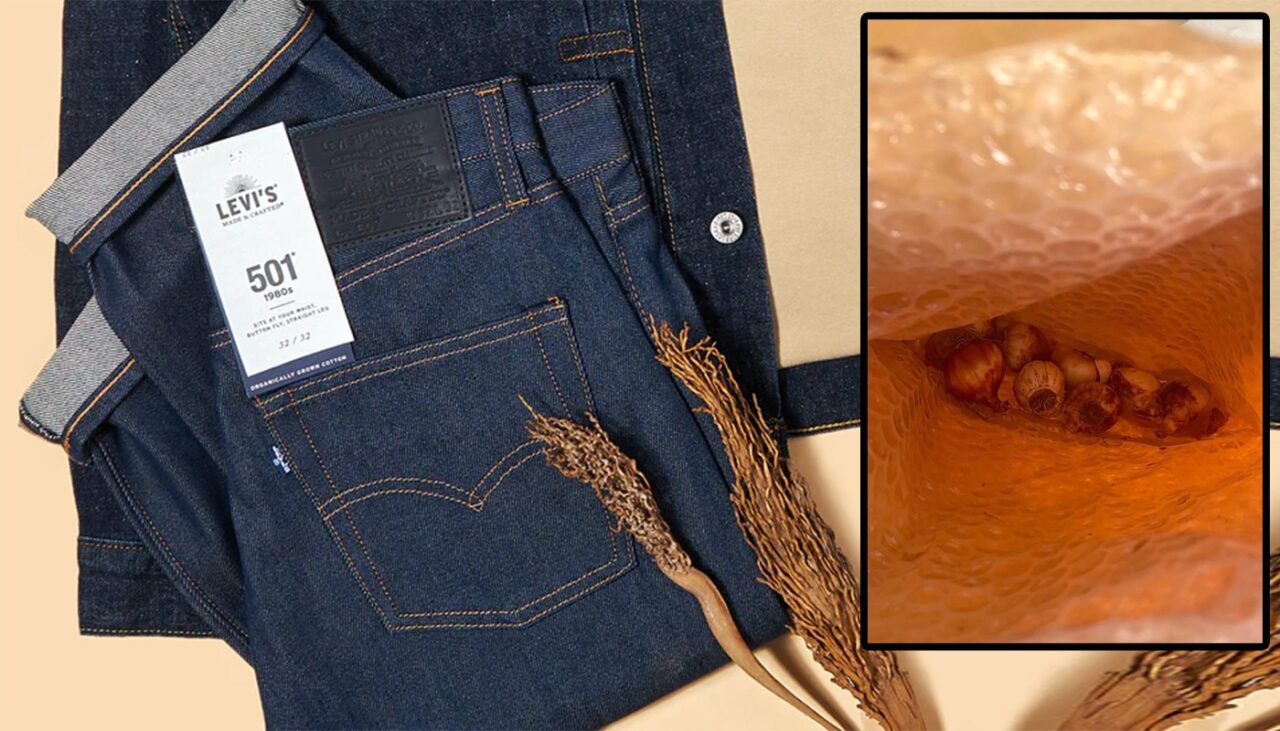 Ireal ce a primit un tânăr, după ce comandase on-line o pereche de blugi Levi’s. Când a deschis coletul, a crezut că nu vede bine