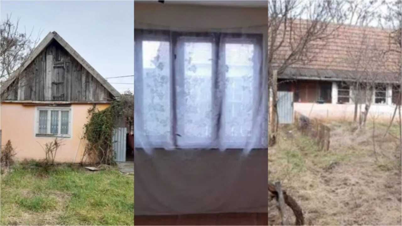 Localitatea din România în care îți poți cumpăra o casă cu doar 2800 de euro. Are livadă cu pomi fructiferi si un teren de peste 7000 de mp