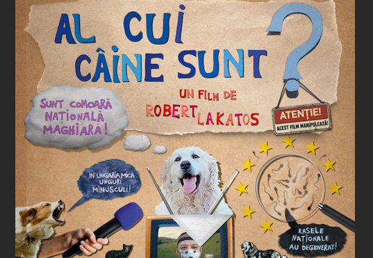 Documentarul „Al cui câine sunt?”, scris și regizat de Róbert Lakatos, din 4 noiembrie în cinematografe