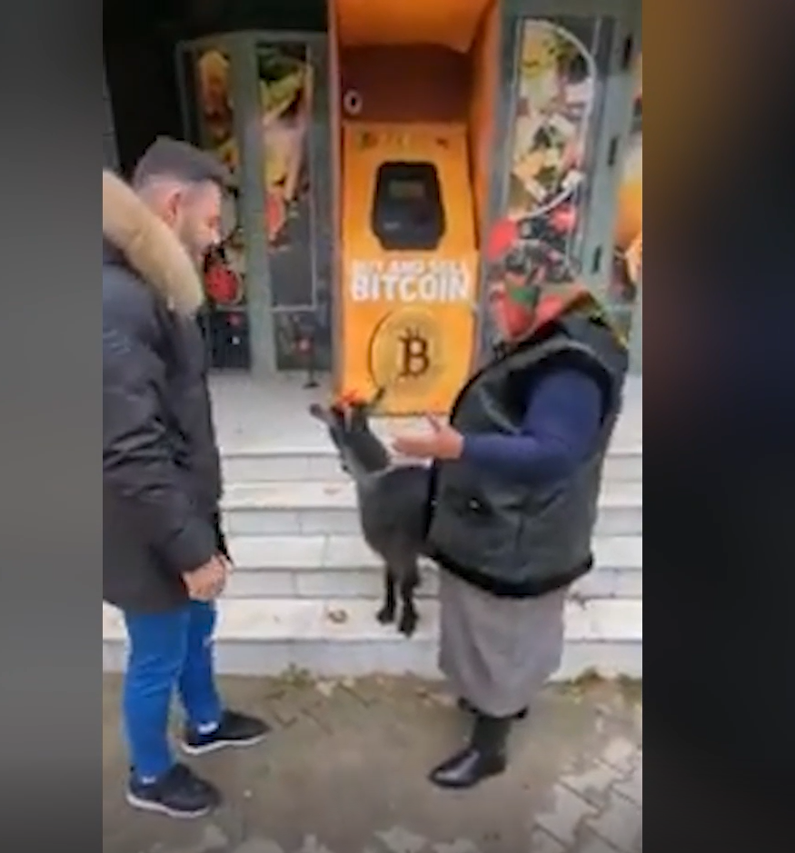VIDEO | O femeie din Vrancea a încercat să facă afacerea vieții. Ea a vrut să își vândă capra pe un bitcoin