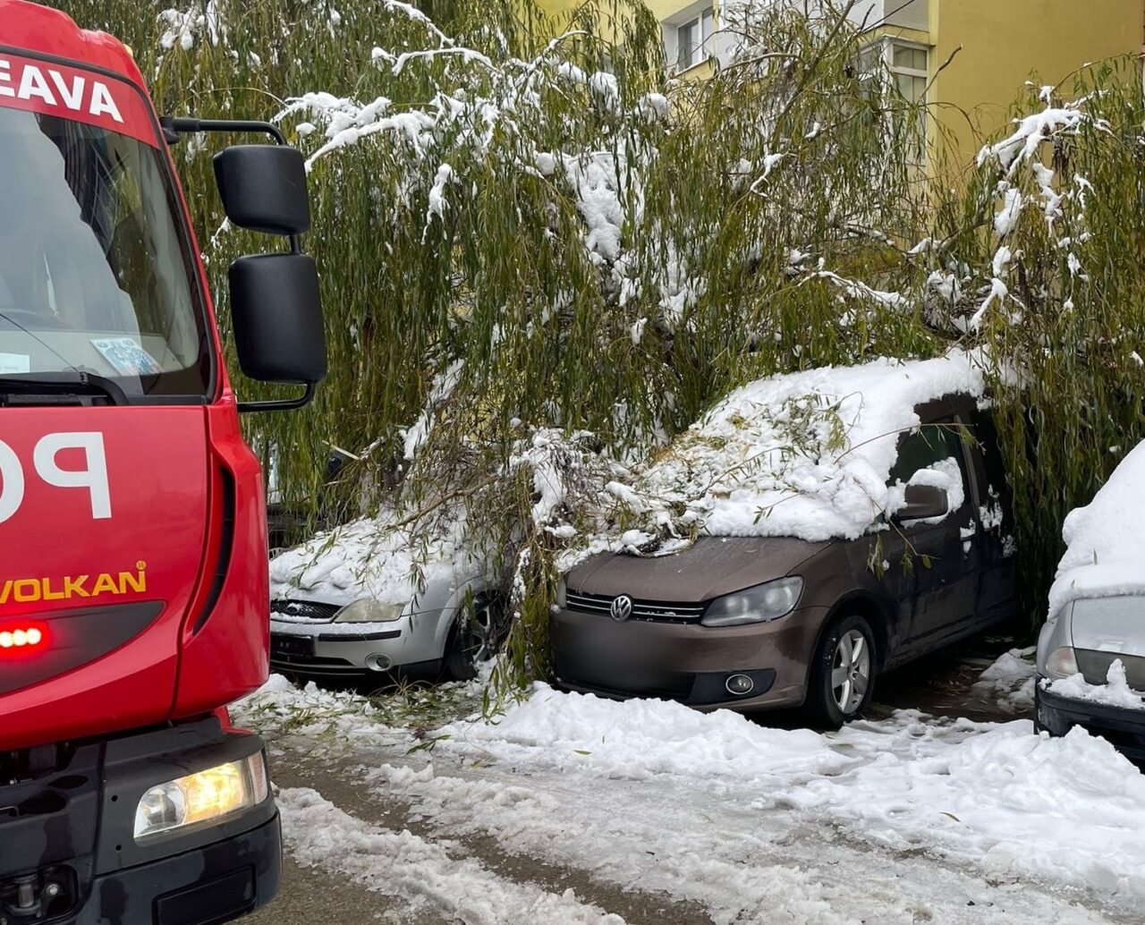 FOTO – Un copac a căzut peste trei mașini parcate pe o stradă din Suceava