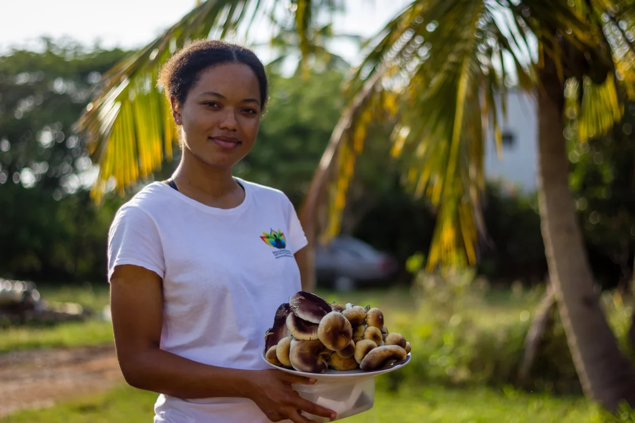 Ce sunt „ciupercile magice”, brandul de țară în Jamaica. Turiștii, ademeniți cu produse psihedelice care sunt interzise în Europa și SUA