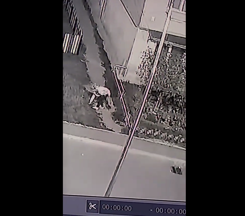 VIDEO | Surpriza avută de o tânără care și-a pierdut portofelul plin cu bani pe o stradă din Sibiu. O femeie cu spirit civic l-a găsit și l-a dus la un magazin din cartier