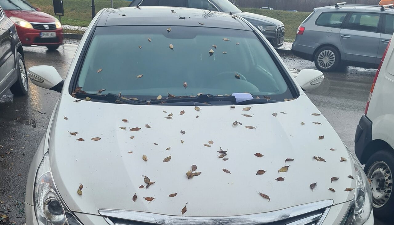 Cum a fost pedepsit un șofer din Ucraina după ce și-a parcat mașina pe două locuri, în Iași