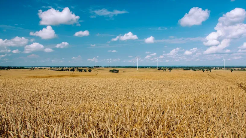 Sunt fenomenele meteo din 2022 o consecință a schimbărilor climatice?