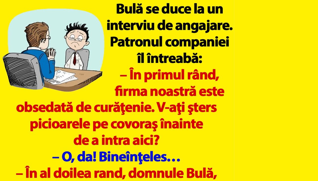BANC | Bulă se duce la un interviu de angajare: „V-aţi şters picioarele pe covoraş înainte de a intra aici?”