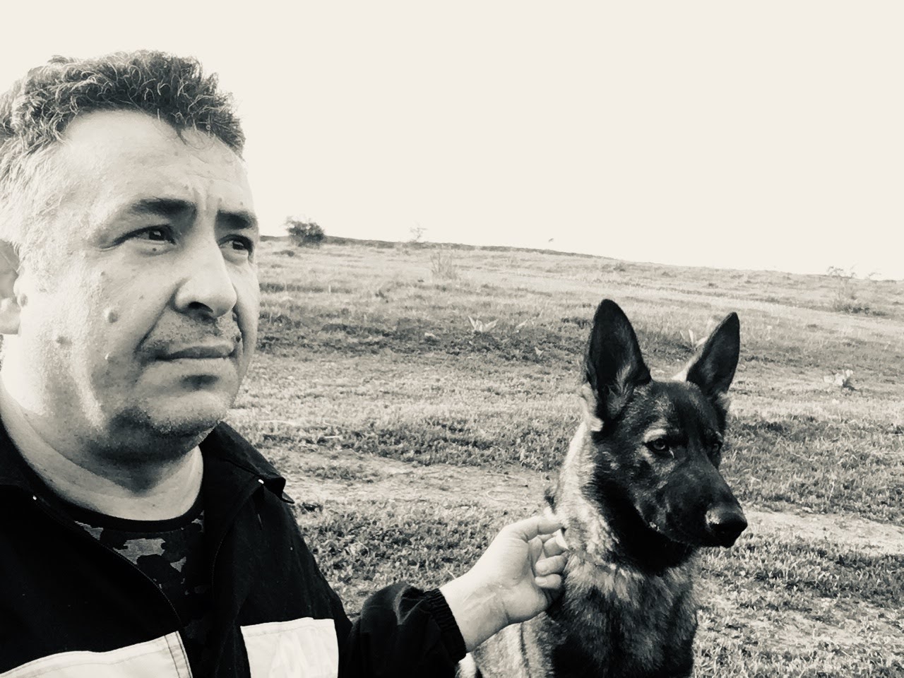 Abaha, cățelușa-eroină care salvează vieți. Ultima dată a dat de urma unui bărbat dispărut în Onești