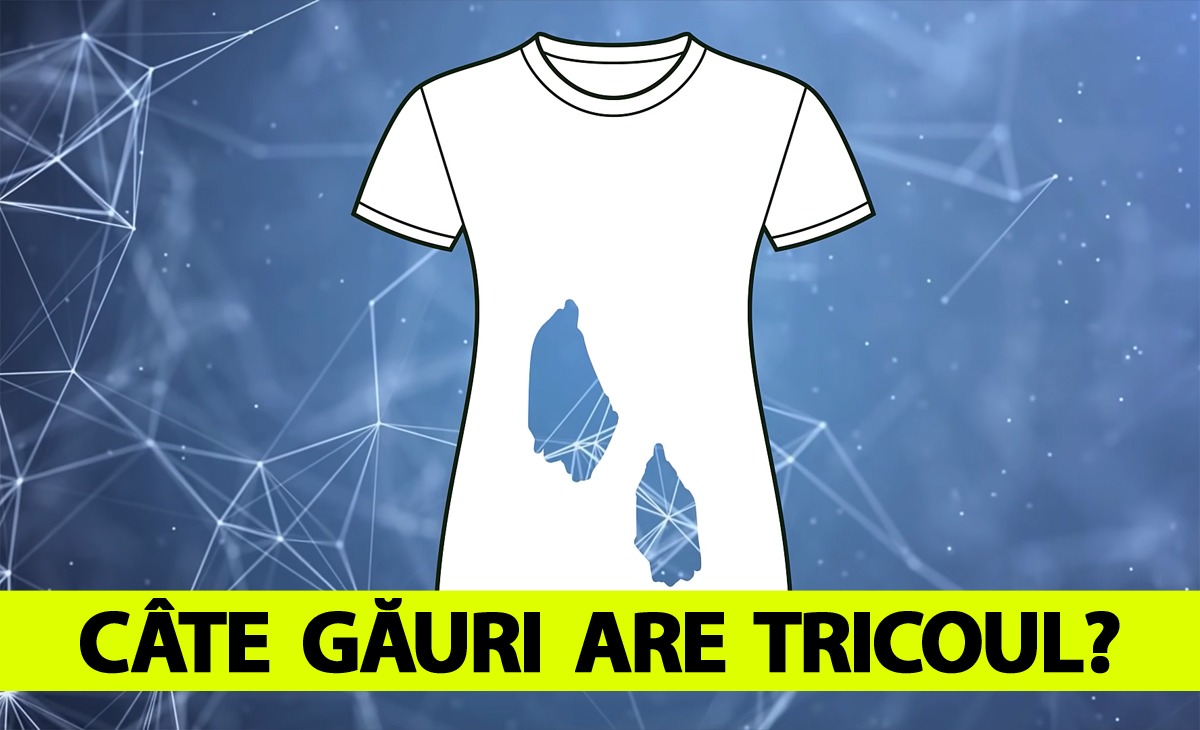 Test de inteligență destinat geniilor | Câte găuri are acest tricou, de fapt?!