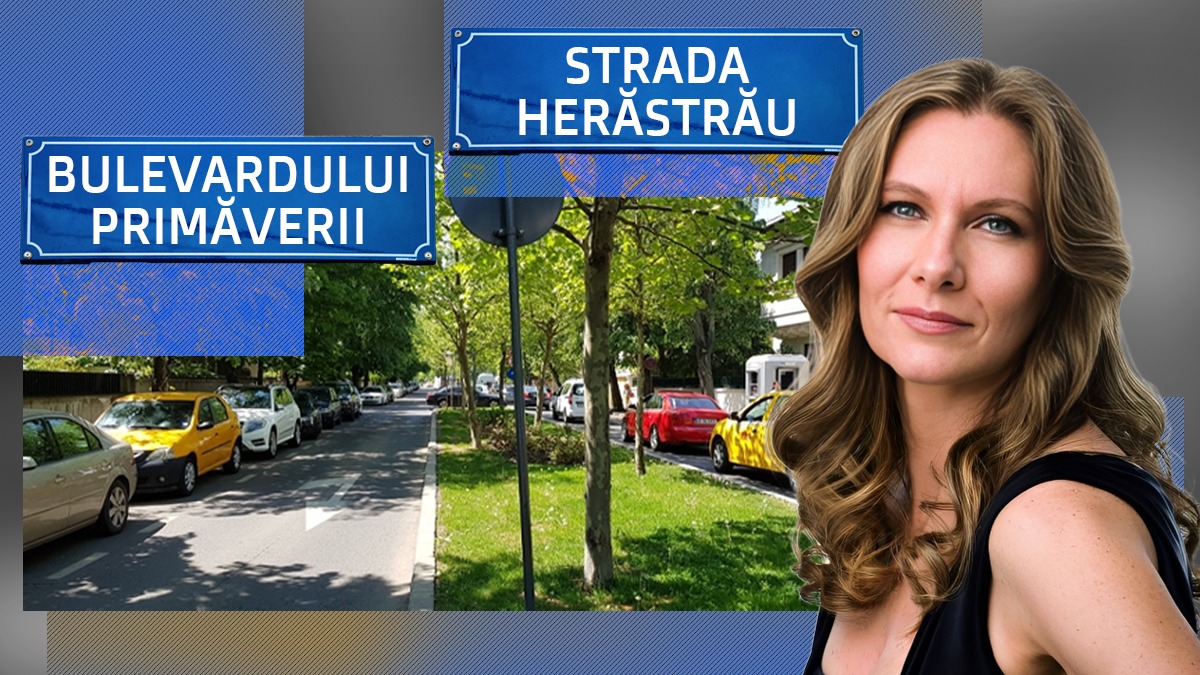 EXCLUSIV | Scandal în cel mai scump cartier din România! Majoritatea locuitorilor de pe străzile Primăverii și Herăstrău NU vor schimbarea fără nici un motiv a denumirilor. Consilierii USR și PNL insistă. Romanița Iovan: „Este o nebunie care nu-și are rostul”