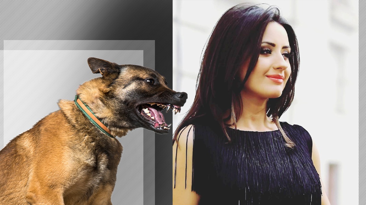 Prezentatoare TVR, atacată de câini în București. Jurnalista spune că polițiștii nu au făcut nimic pentru a o ajuta