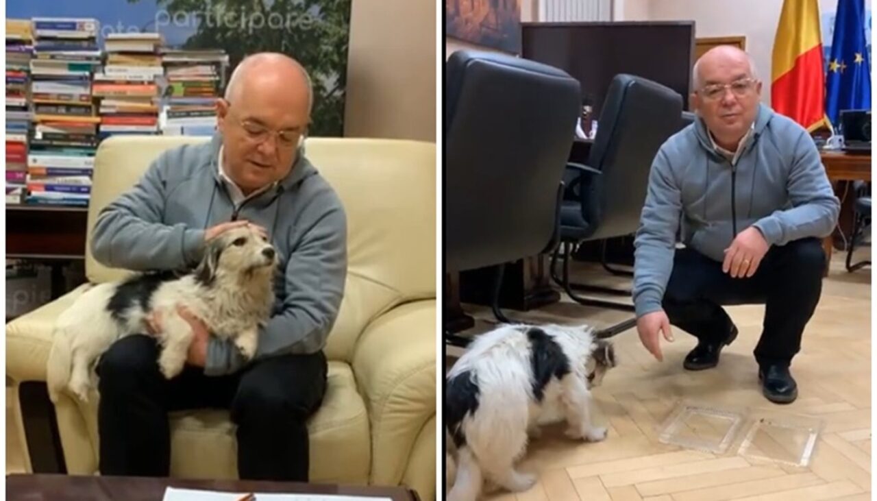 VIDEO | Câinele salvat de Emil Boc de pe străzile Clujului și-a regăsit familia. Cum a decurs întâlnirea dintre animal și stăpânii săi, printre care o fetiță de 3 ani