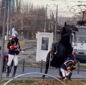 EXCLUSIV | Decizie neașteptată a procurorilor militari în cazul jandarmului care a căzut de pe cal de Ziua Națională. O probă importantă ar fi lipsit din dosar