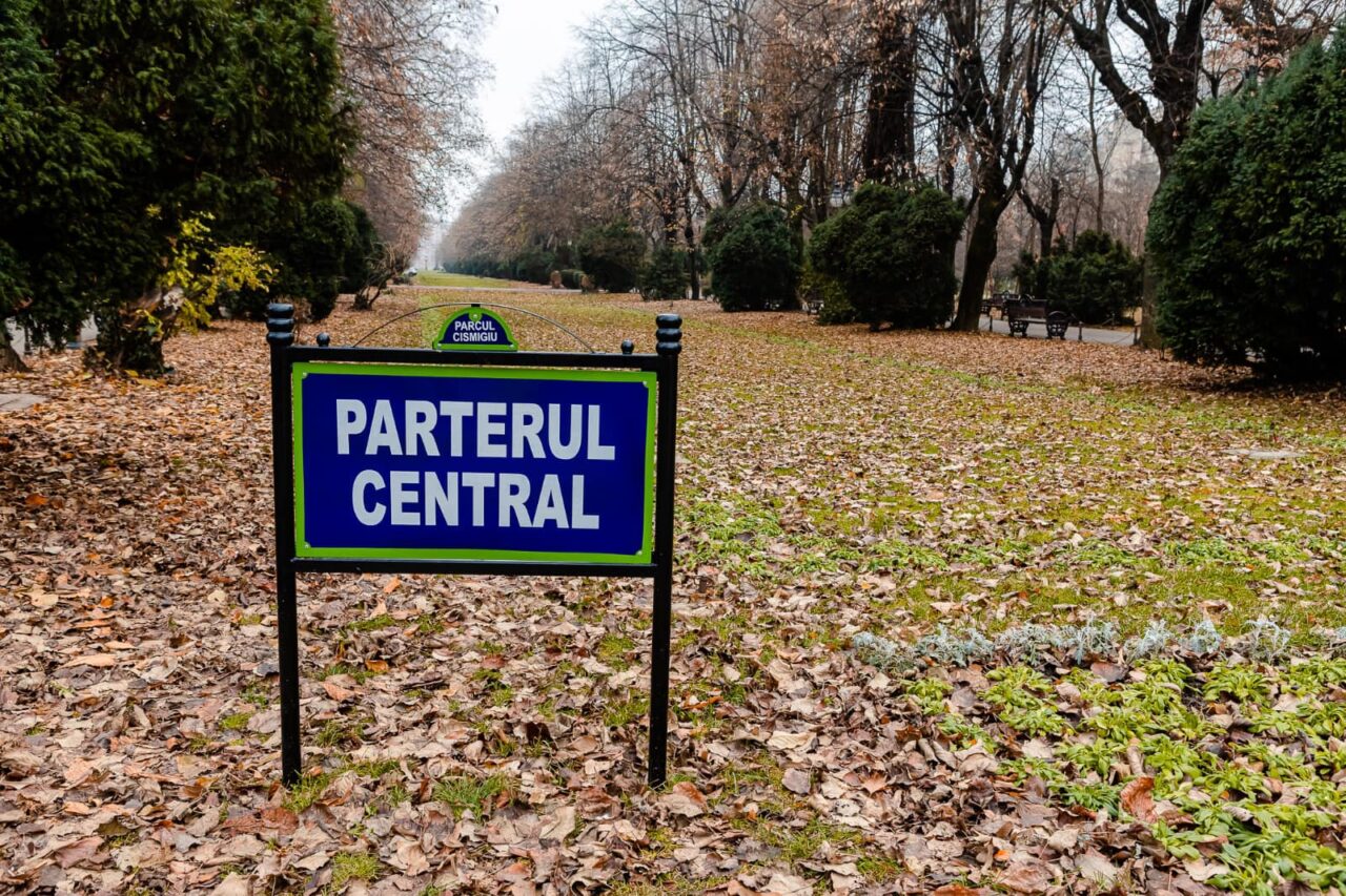 Gabriela Firea, despre bobițele periculoase din Cișmigiu: „Este alarmant faptul că așa-zișii specialiști nu sunt în stare să asigure protecție”