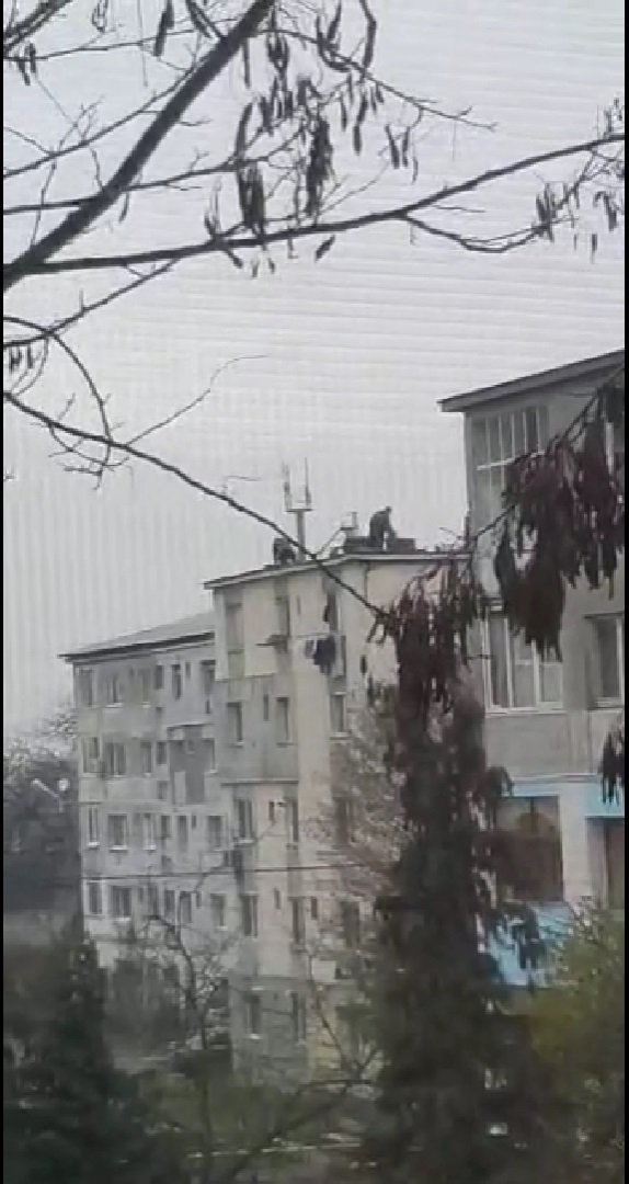 VIDEO | Anul acesta porcul se taie la înălțime! Au demonstrat câțiva bărbați din Baia Mare care au sacrificat animalul pe acoperișul unui bloc
