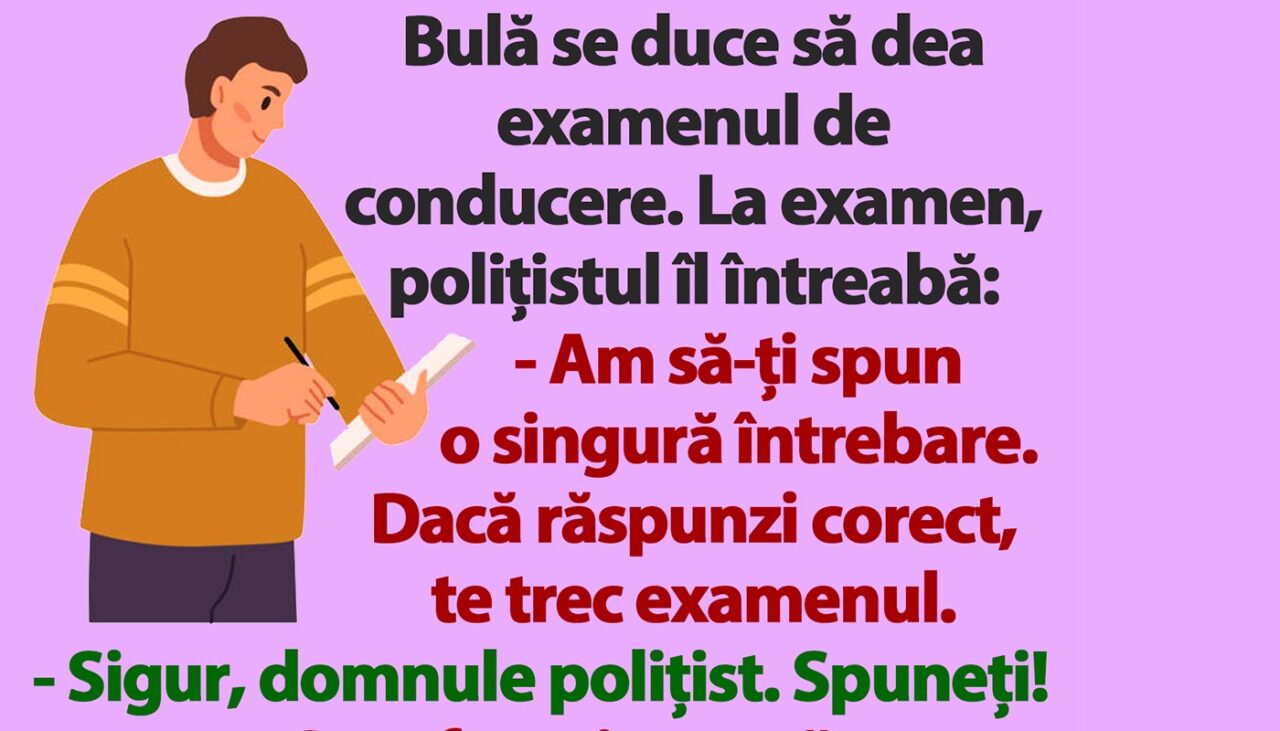 BANC | Bulă dă examenul de conducere: „Cum funcționează motorul mașinii?”
