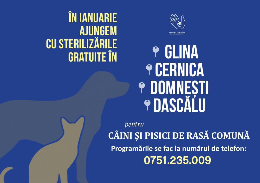 Ianuarie este luna sterilizărilor gratuite în 4 localități din Ilfov: Glina, Cernica, Domnești și Dascălu