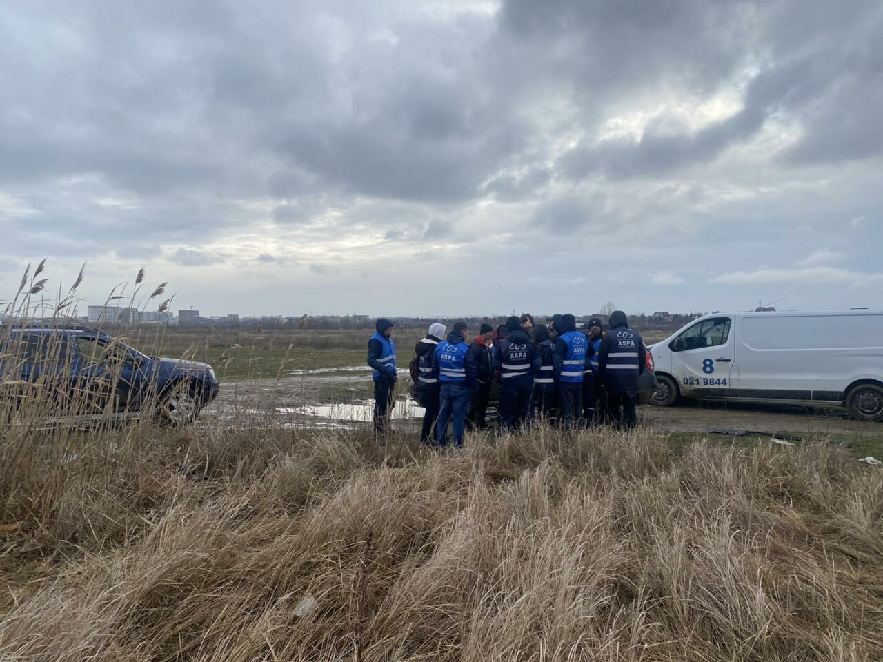 Acțiune ASPA București după tragedia de la Lacul Morii. 12 câini și doi pui au fost capturați și cazați în adăpostul ASPA Bragadiru