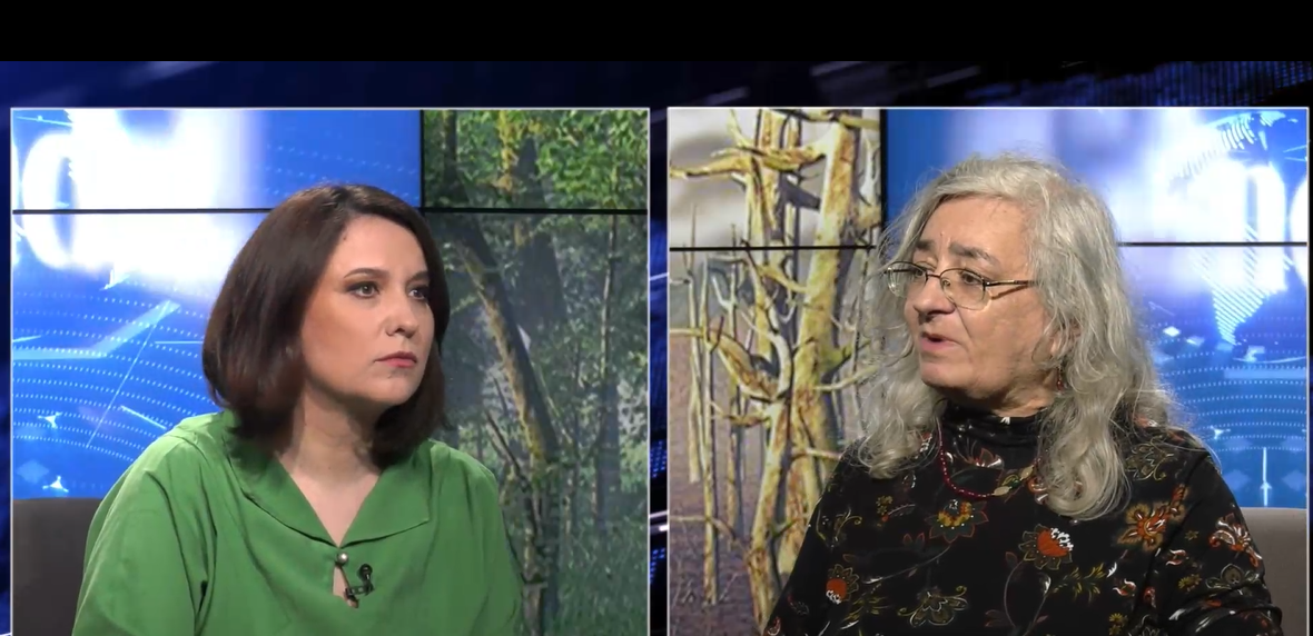 EXCLUSIV VIDEO | Scenariu îngrijorător pentru București. Climatolog: ”Se trăiește prost în Capitală, dacă rămâne în stadiul actual, nu va face față provocărilor climatice de peste 10 ani. Haosul urbanistic ne îmbolnăvește, va fi o mortalitate mai mare vara”
