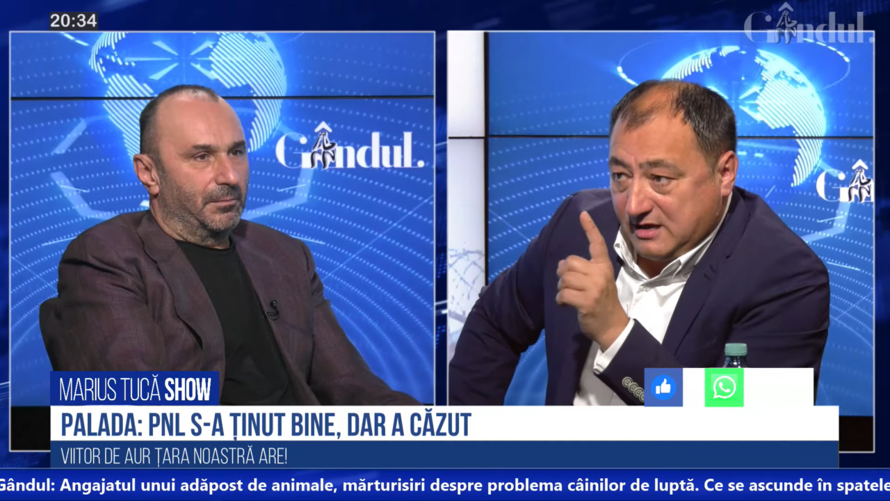 VIDEO | Mirel Palada, sociolog: „România are două partide: PSD și cei care se luptă cu PSD”