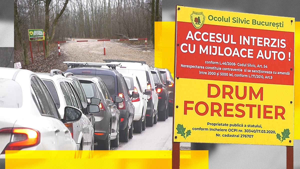 EXCLUSIV VIDEO | Haos în cartierul Greenfield Băneasa, după blocarea accesului auto pe drumul forestier. „Oamenii își vor pierde locurile de muncă. Nimeni nu este nebun să stea o oră și jumătate în trafic pe un drum de trei minute”