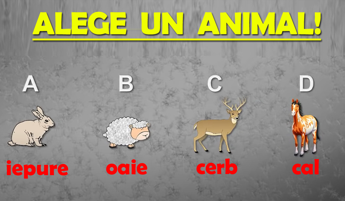 Cel mai tare test de personalitate: Dacă ar veni Sfârșitul Lumii, ce animal ai salva dintre cele 4?