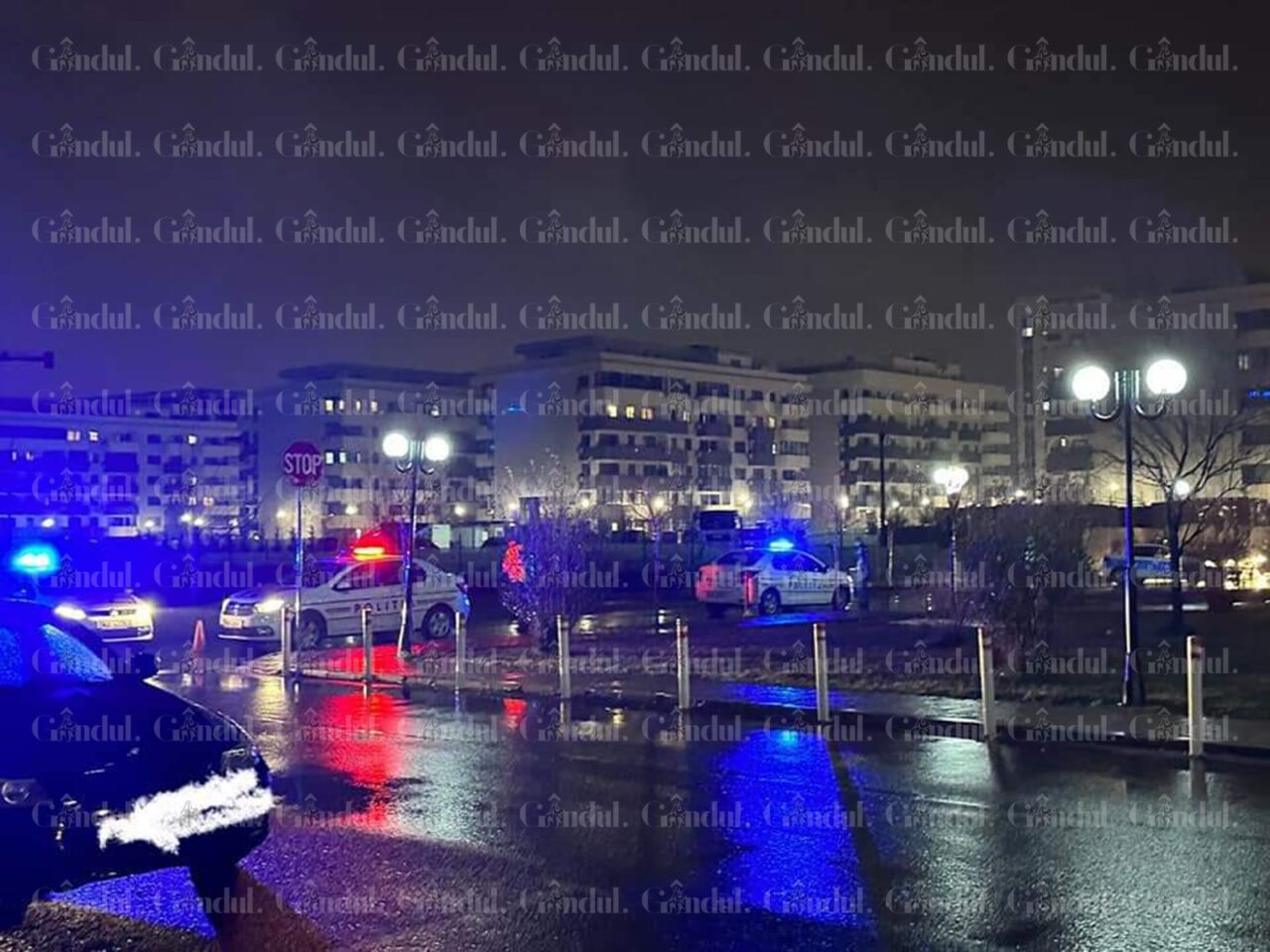 FOTO | Un șofer britanic a fost prins de polițiști în timp ce încerca să fugă din țară pe Aeroportul din Cluj. Bărbatul a lovit o femeie însărcinată pe o trecere de pietoni din Capitală/Femeia a pierdut sarcina