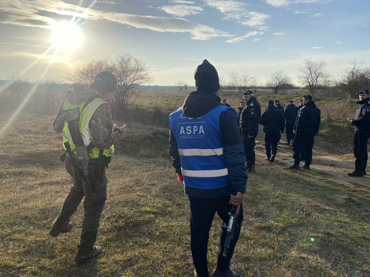 Prima reacție a ASPA, după ce o femeie a fost omorâtă de câini: „Am ridicat de pe aceste străzi peste 120 de câini până în prezent, din aprilie anul trecut. Capturarea nu rezolvă cauza, ci efectul”