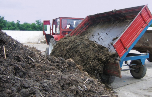 Cum transformă germanii bălegarul în energie! Se încălzesc cu gaz produs din deșeurile de fermă