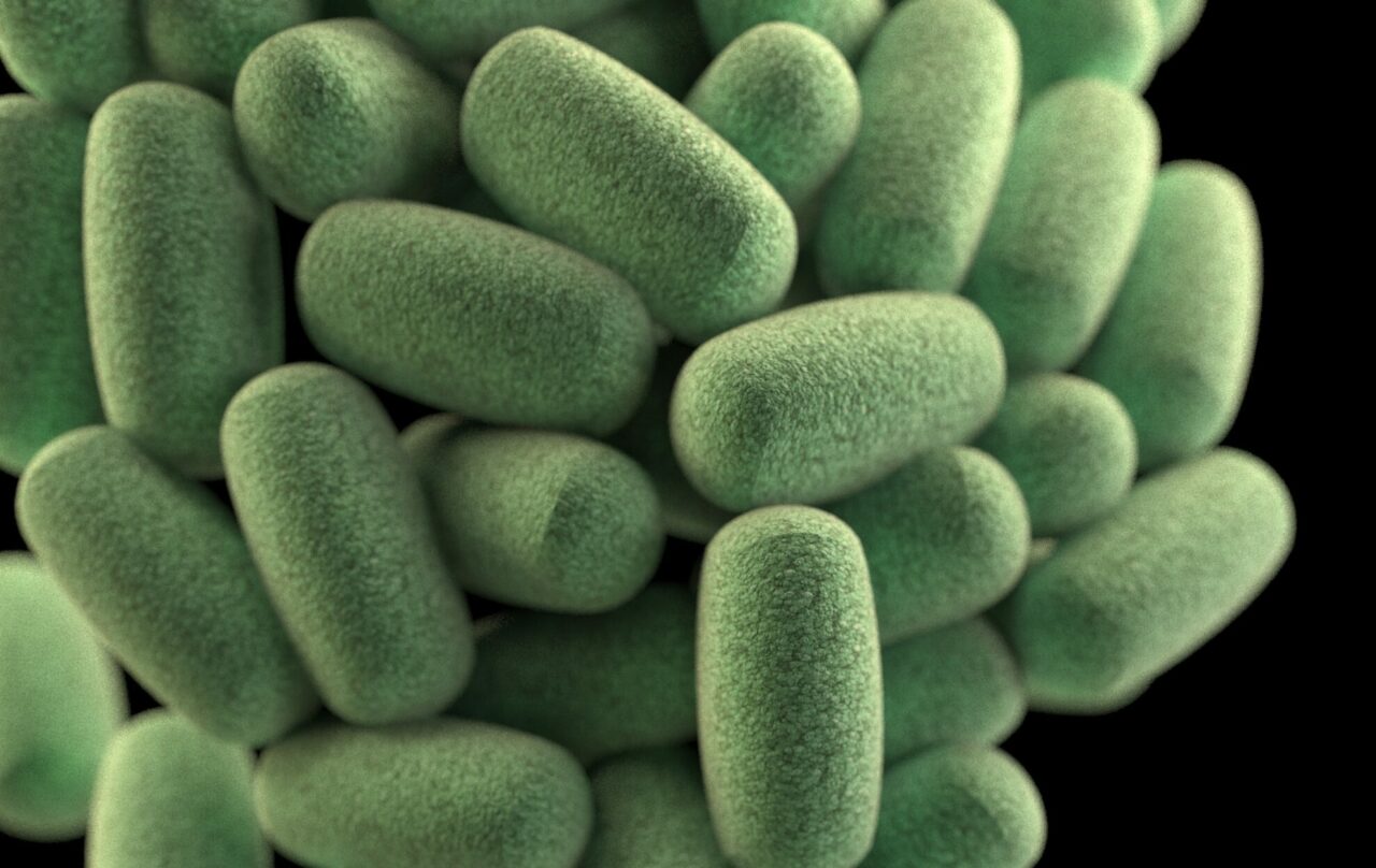Apă infestată cu Clostridium Perfringens, bacteria extrem de periculoasă, în România