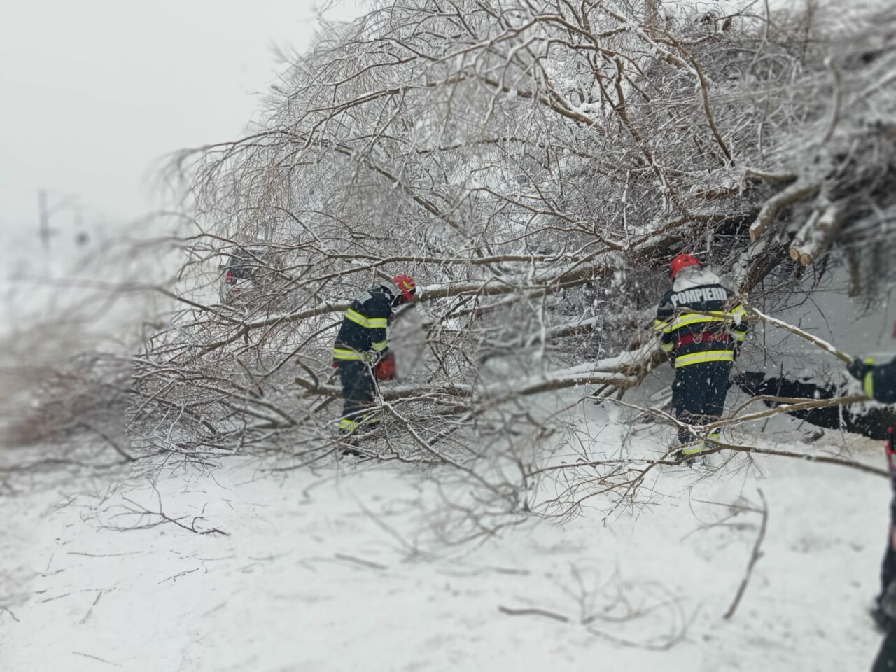 Sinaia a rămas fără curent electric, din cauza unui copac căzut pe o linie de înaltă tensiune. A fost afectat inclusiv spitalul, în care sunt internați 38 de pacienți