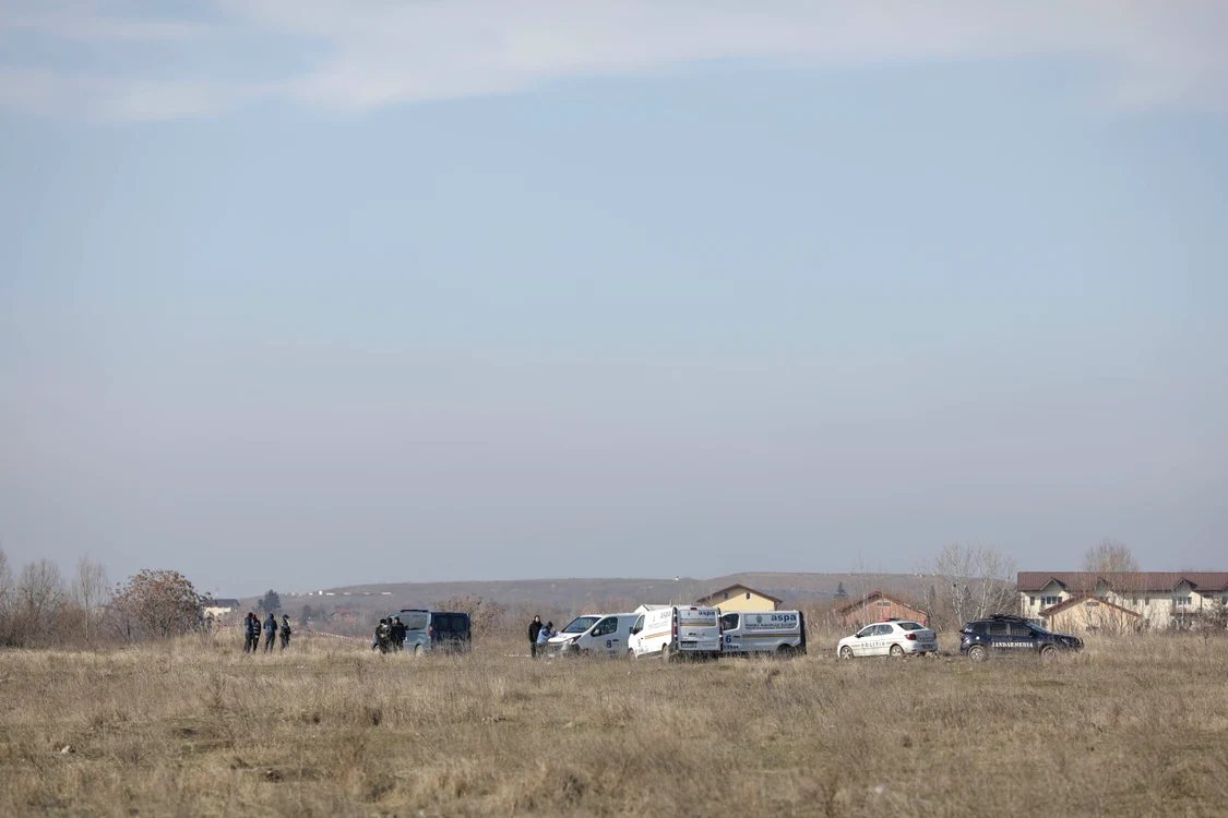 Angajatul unui adăpost de animale, mărturisiri despre problema câinilor de luptă. Ce se ascunde în spatele patrupezilor abandonați pe câmpurile din Capitală