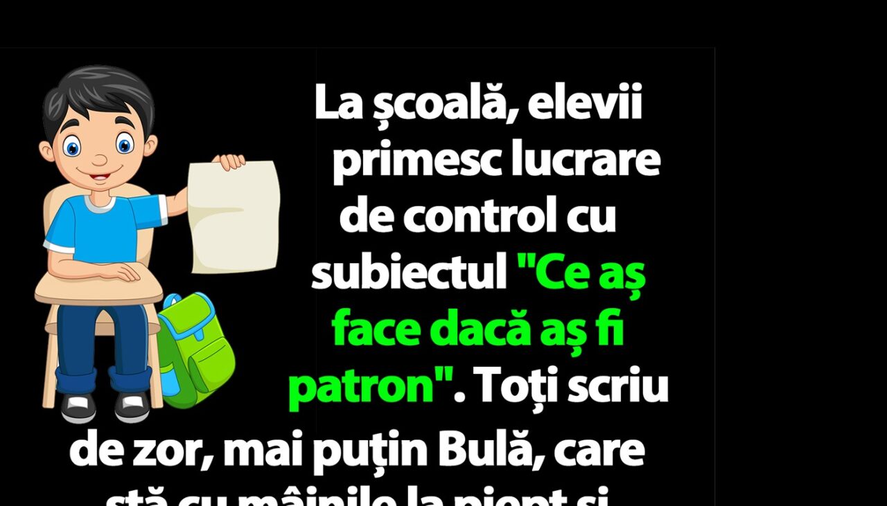 BANC | Bulă primește lucrare de control cu subiectul „Ce aș face dacă aș fi patron”