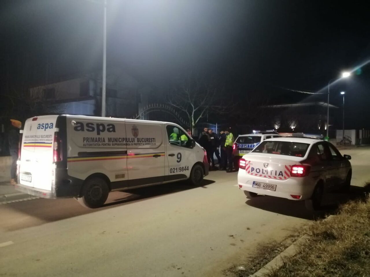 Femeie ATACATĂ de câini de luptă pe digul de pe Lacul Morii. Suma ridicolă cu care a fost amendat proprietarul câinilor periculoși