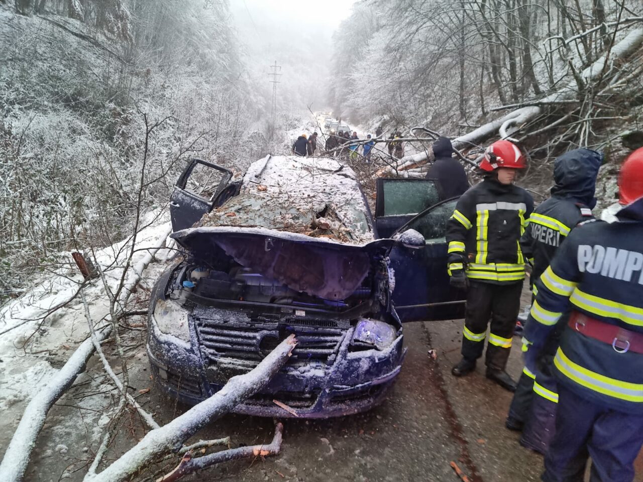 Băiatul de 14 ani MORT după ce un copac a căzut peste mașina în care se afla se întorcea de la schi