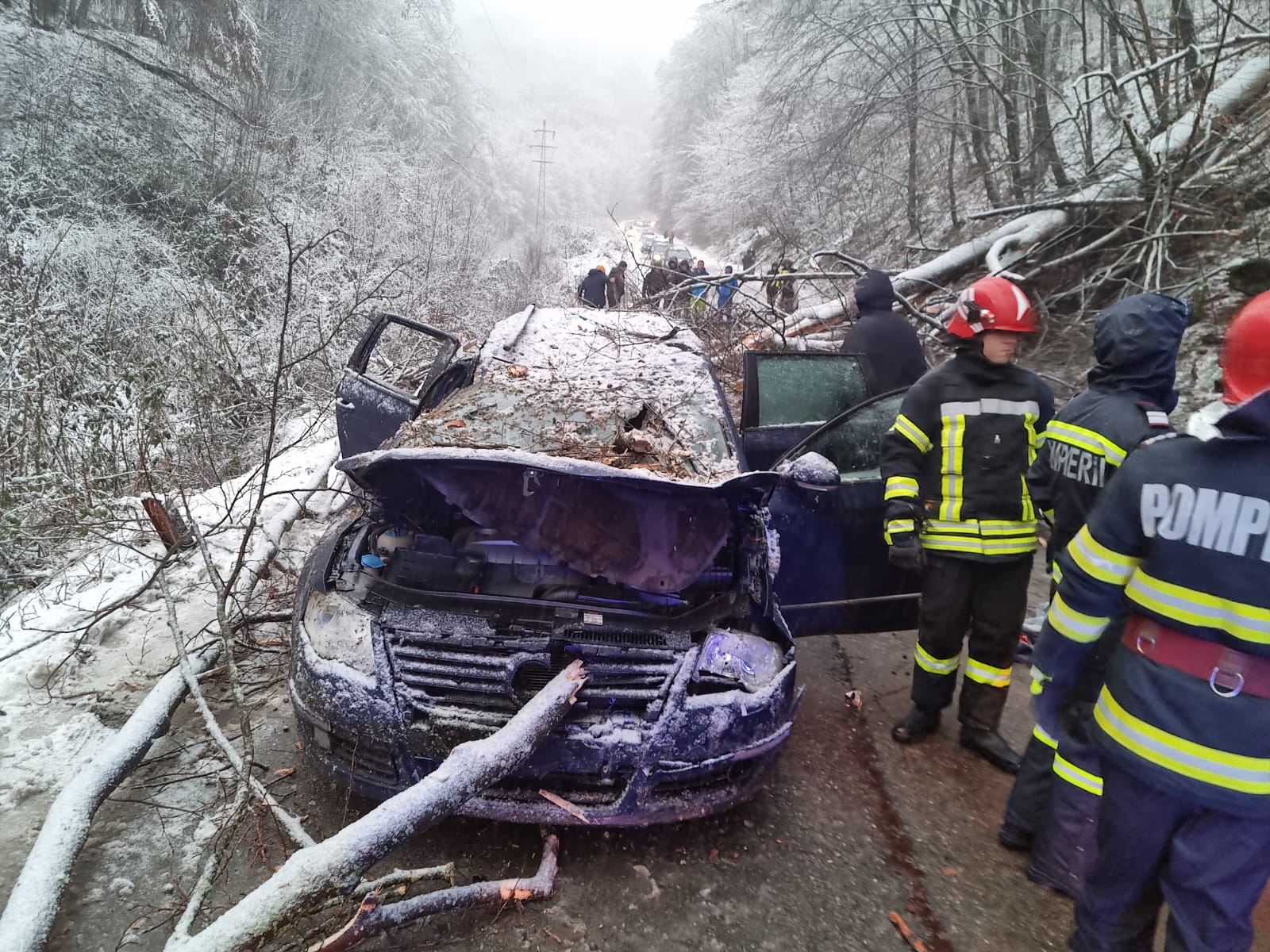 TRAGEDIE la Reșița. Un copil a murit după ce un copac a căzut peste o