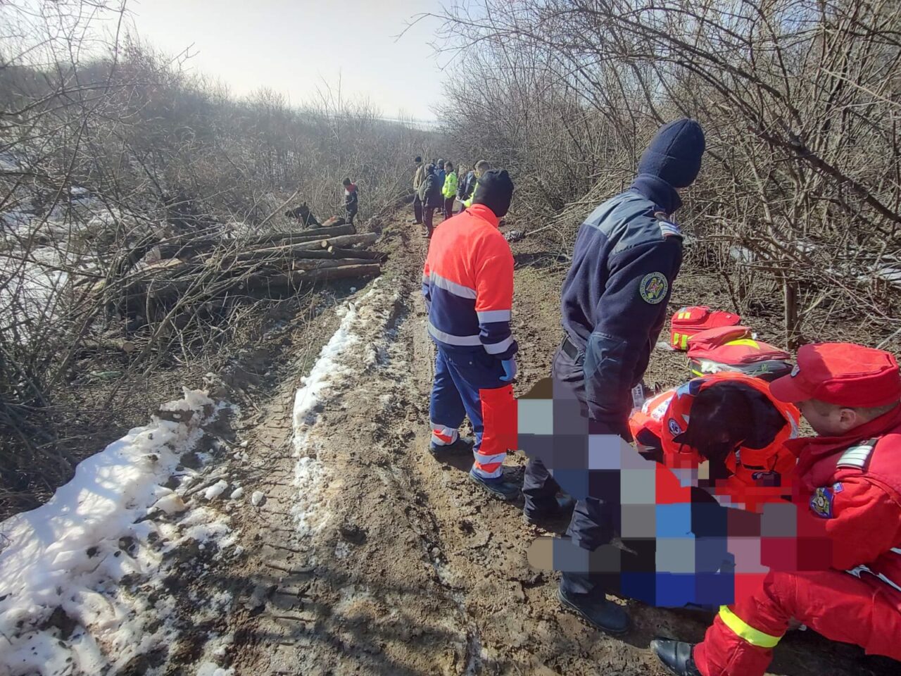 TRAGEDIE în Dâmbovița. Un bărbat a murit strivit de lemnele din căruță