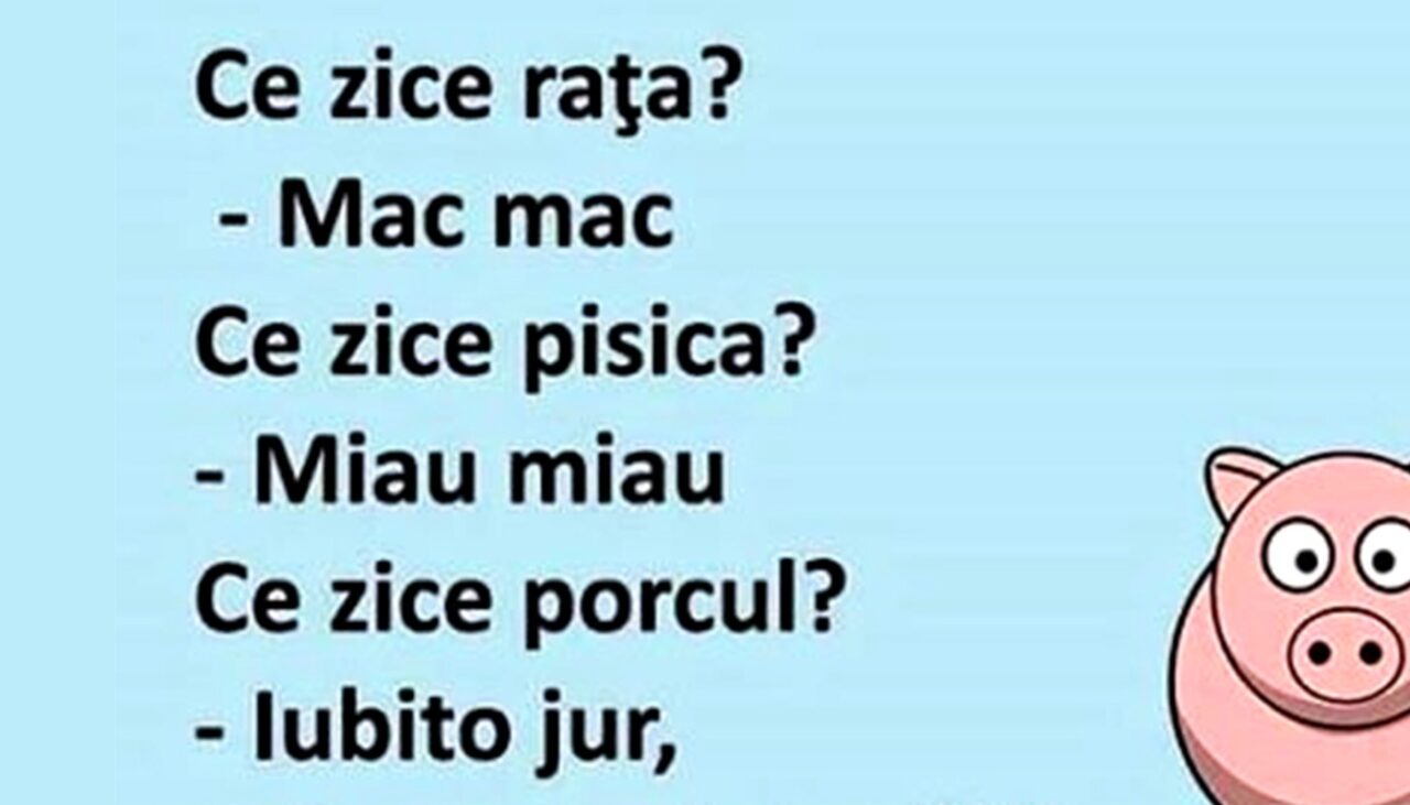 Bancul de sâmbătă | Ce zice porcul?