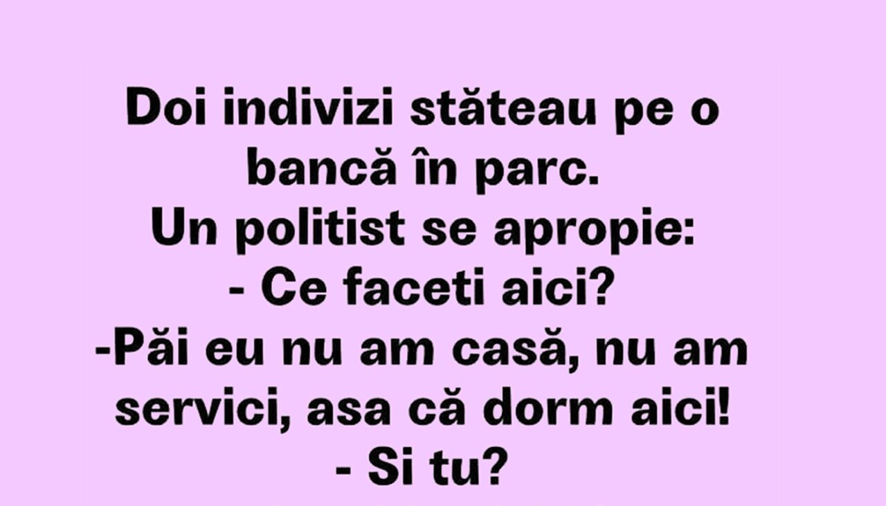 Bancul de duminică | Doi indivizi stăteau pe o bancă în parc