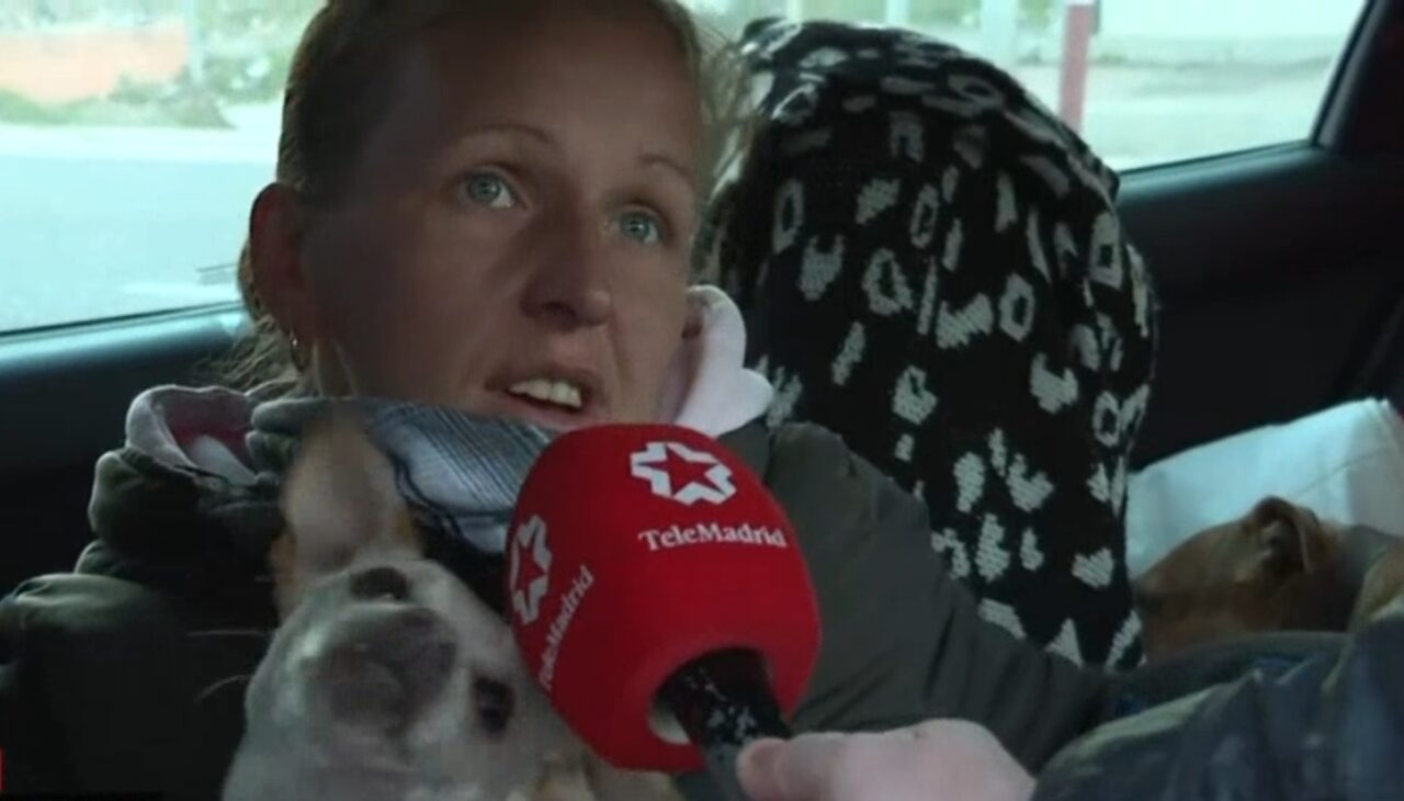 DRAMA unei românce din Spania. Rămasă fără loc de muncă, și-a pierdut casa și acum locuiește într-o mașină, împreună cu cățeluși