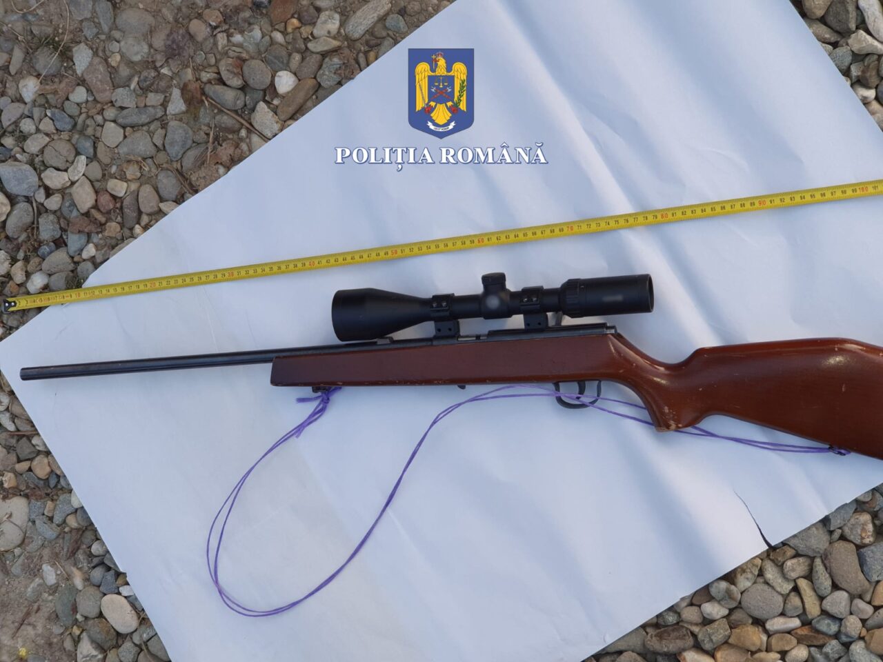 Bărbați din Constanța, acuzați că au ÎMPUȘCAT patru câini, pe un câmp, folosind arme de vânătoare