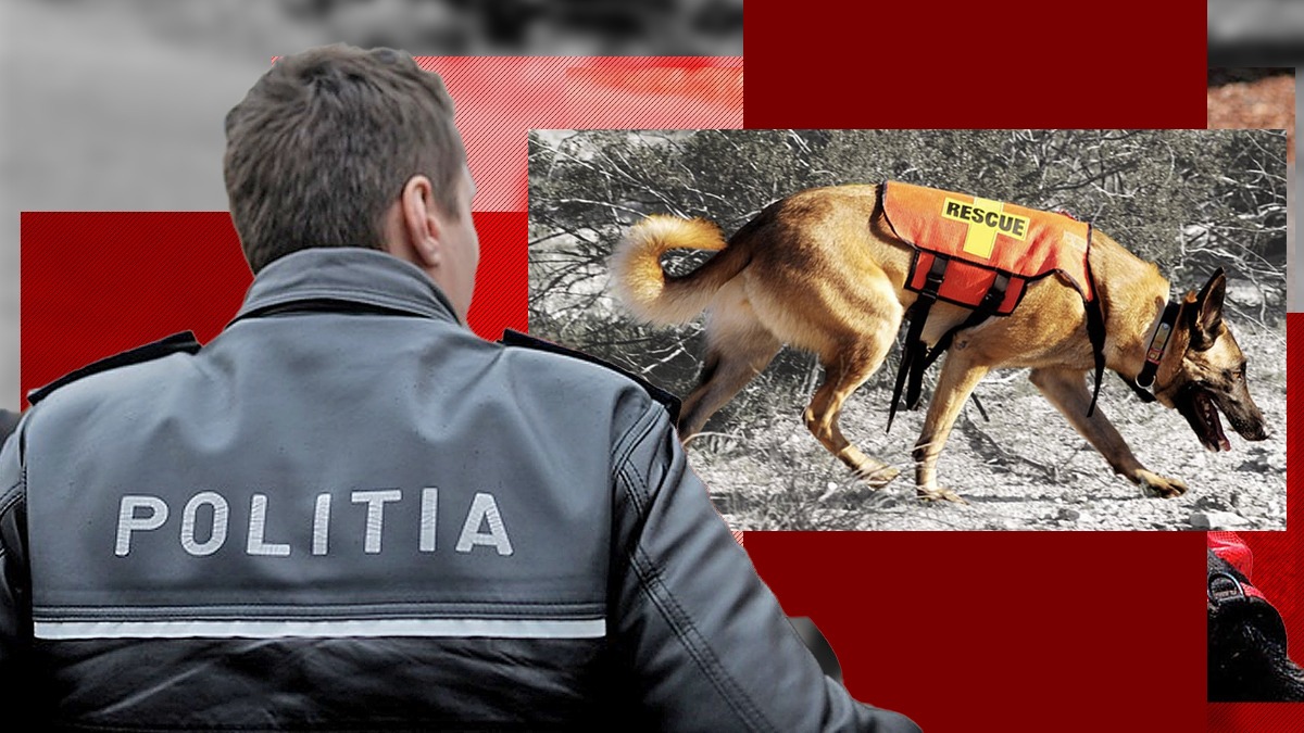 EXCLUSIV | Cum a rămas Poliția Capitalei fără câinii salvatori în caz de dezastre naturale. „S-a considerat că nu este treaba polițiștilor să salveze vieți”