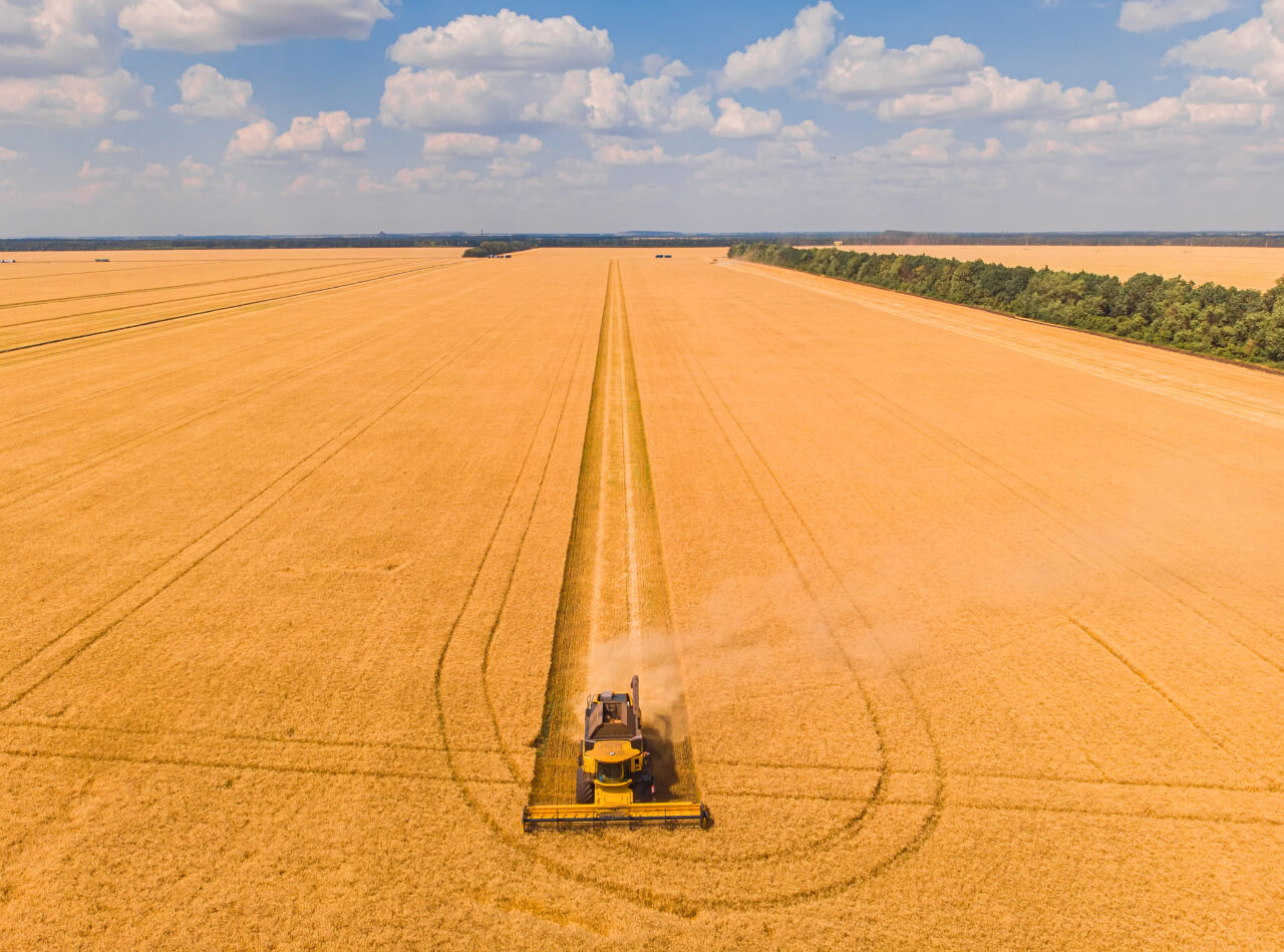 România și alte cinci state din regiune susțin că sunt afectate de importurile de produse agricole ieftine din Ucraina