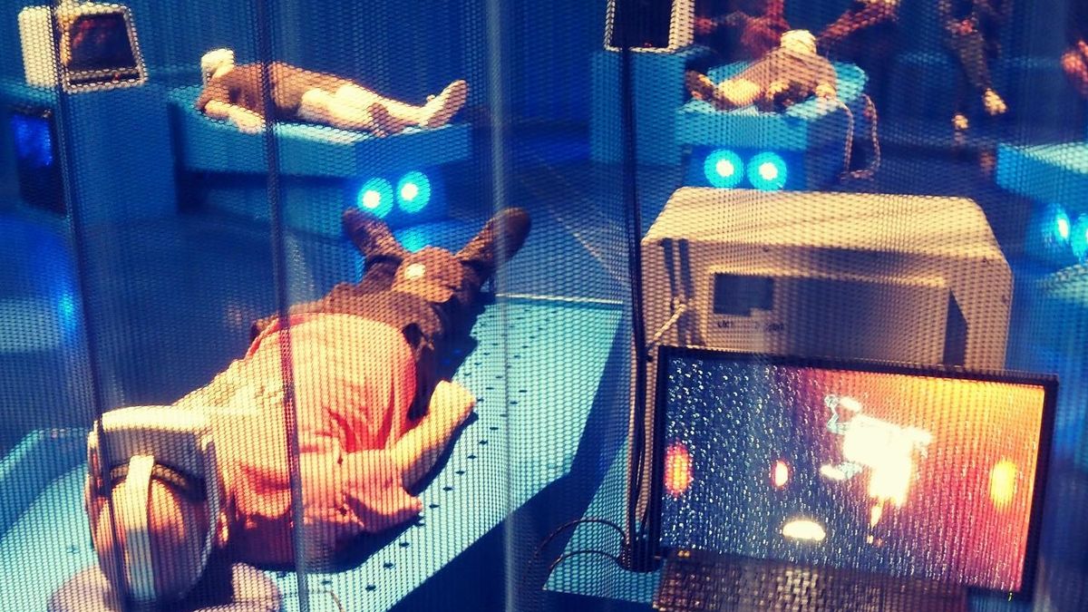 „Simulatorul MORȚII” a băgat spaima în cei care l-au testat: „Te resuscitează, dar nu funcționează și…”